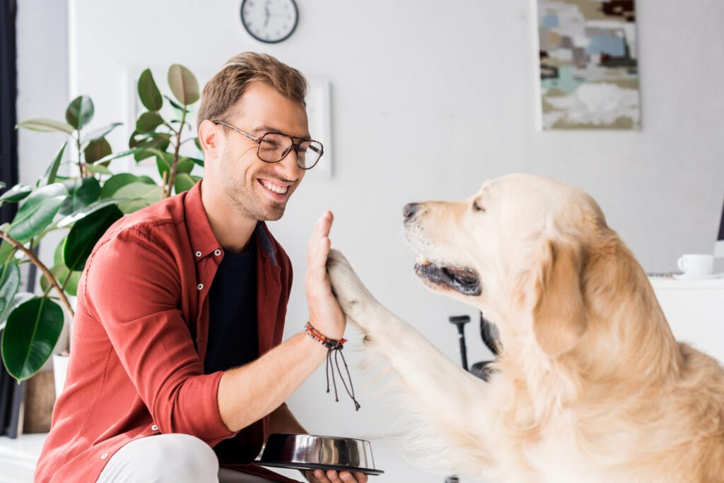 owner and dog high five
