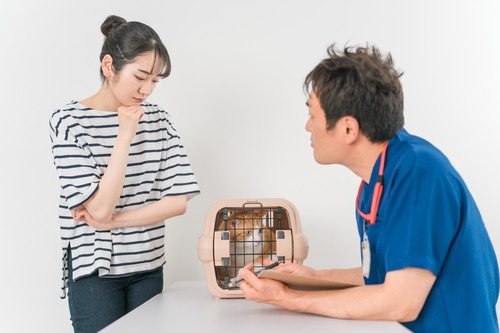 vet-talking-with-pet-owner-with-cat-in-carrier-nearby